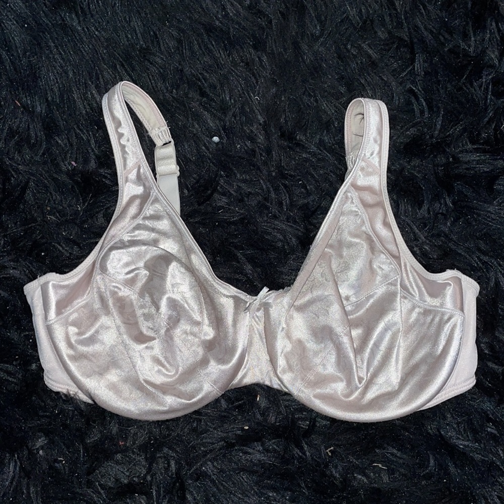 3 for $25 ~ Playtex 40C Bra